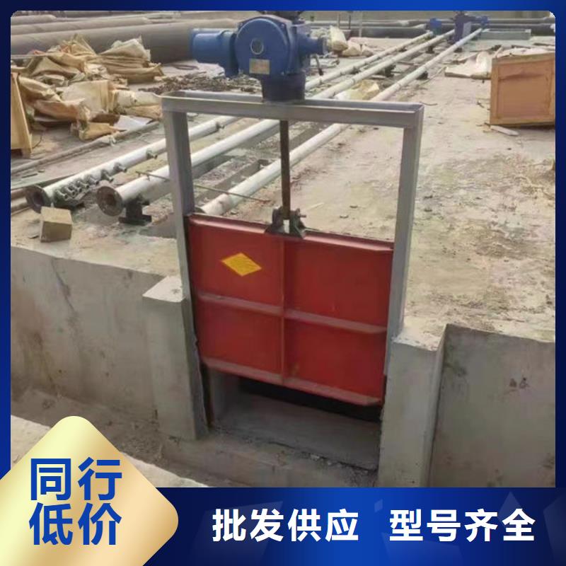 水电站铸铁闸门规格齐全
