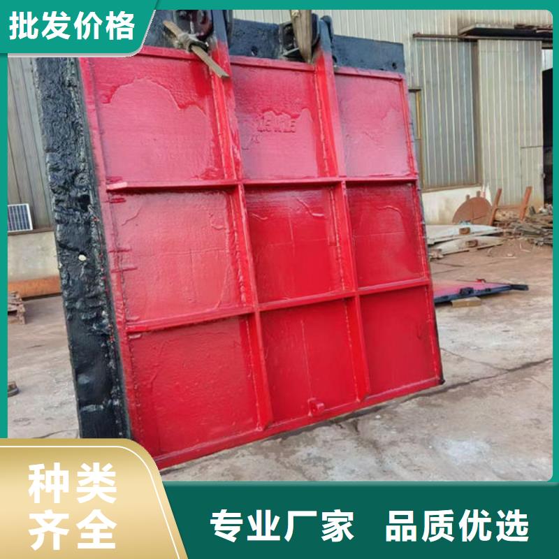 铸铁闸门水电站铸铁闸门专心专注专业