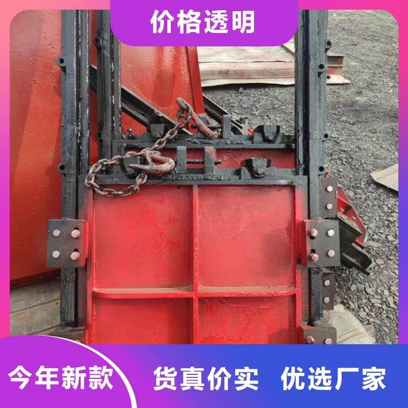 铸铁闸门,渠道闸门保质保量