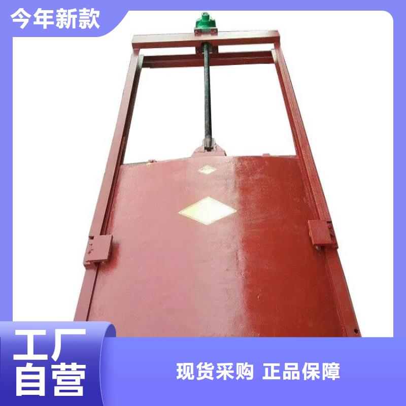 铸铁闸门-附壁式铸铁闸门厂家技术完善
