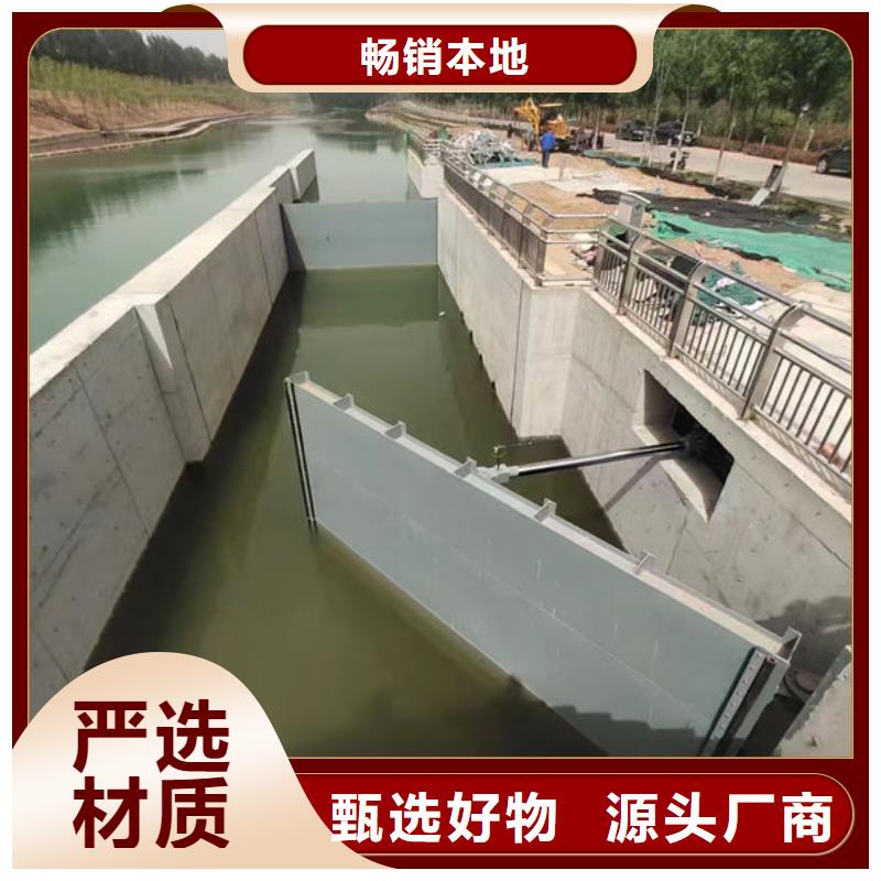 钢坝闸门翻板闸门来图来样定制