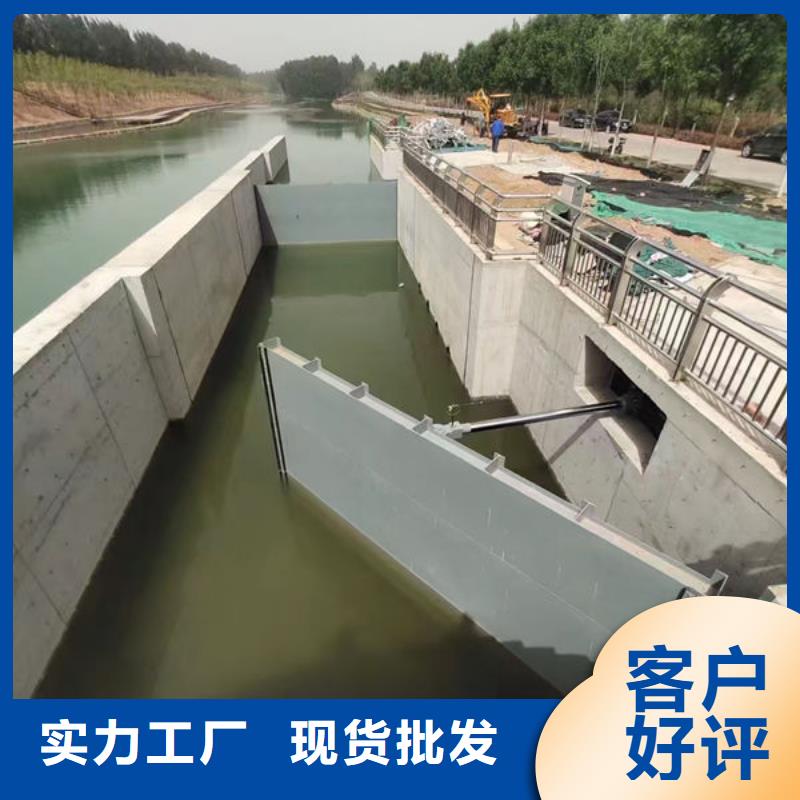 钢坝闸门钢制拍门无中间商厂家直销