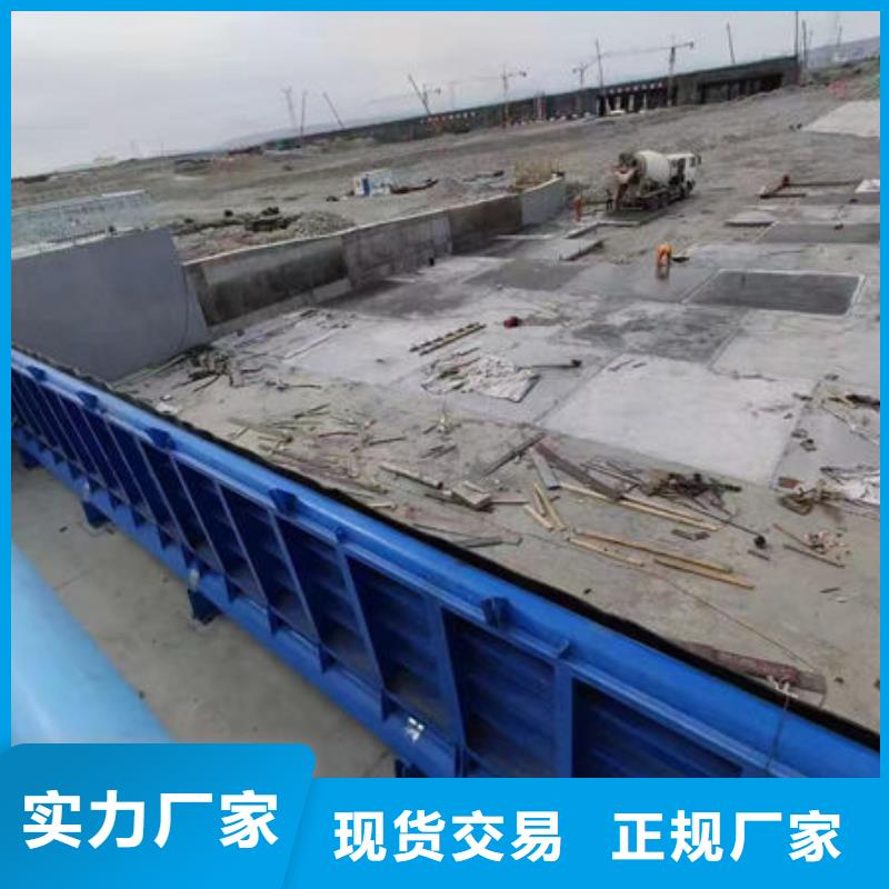 钢坝闸门液压钢坝支持拿样