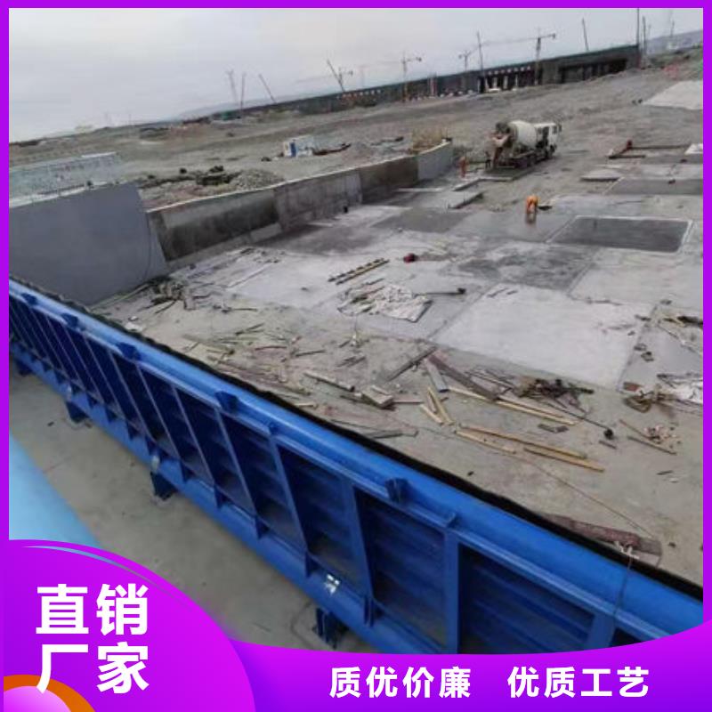 钢坝闸门_泵站上卧式闸门保障