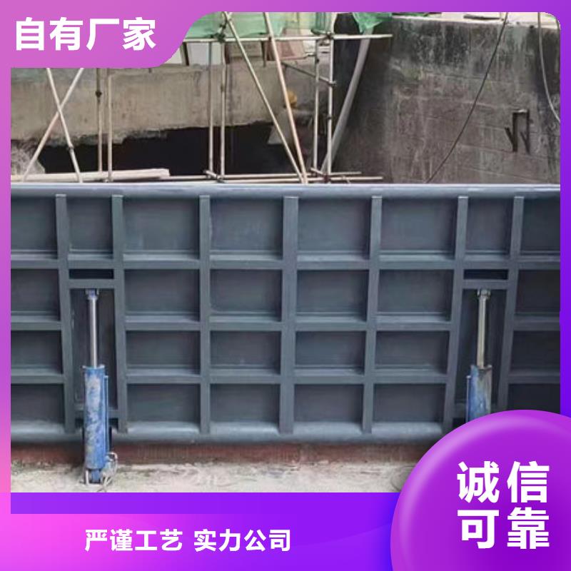 鋼壩閘門-自動抓梁服務周到