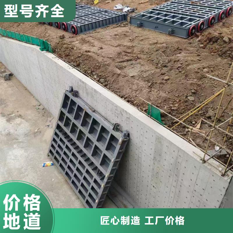 钢坝闸门-自动抓梁服务周到