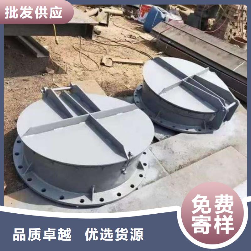 拍门防倒灌拍门精工制作