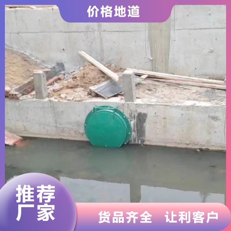 拍门不锈钢拍门多年厂家可靠