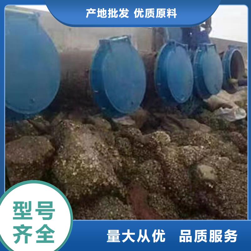 拍門防倒灌拍門價格公道合理