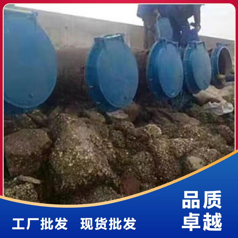 拍门不锈钢拍门支持批发零售