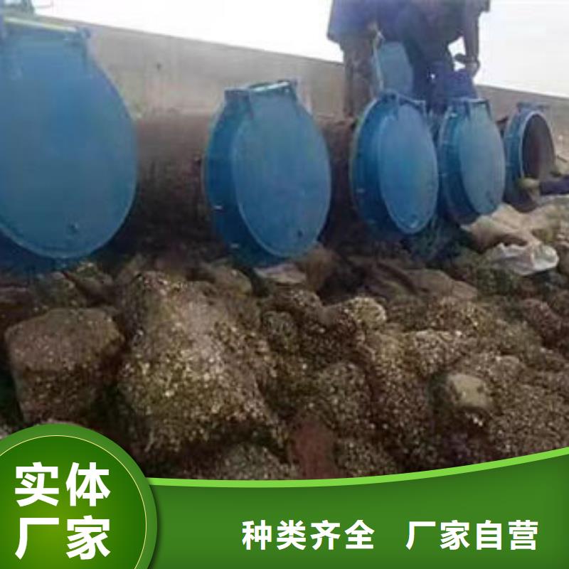 拍门不锈钢拍门精选好货