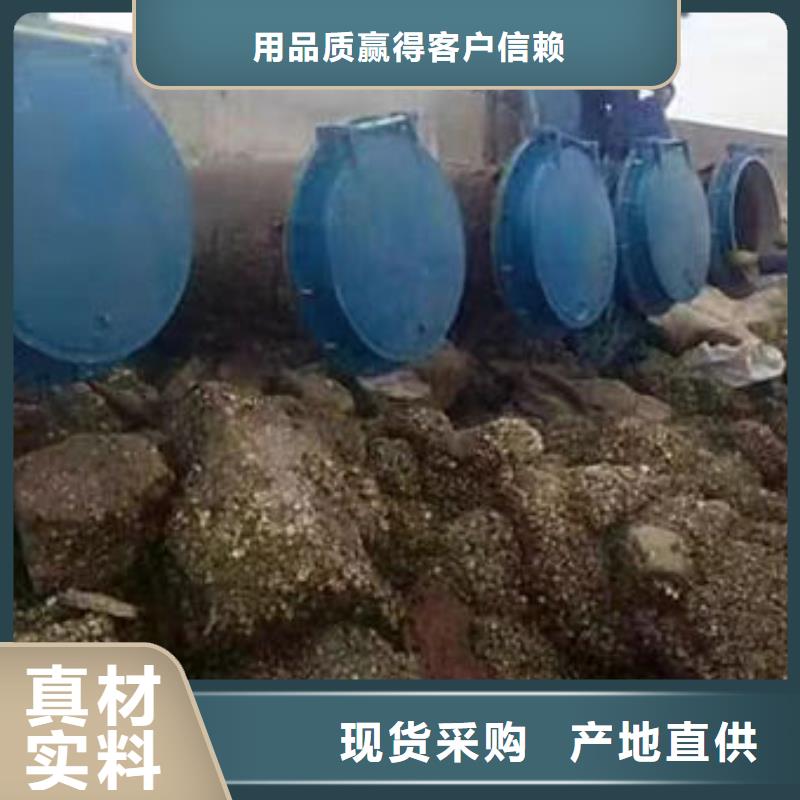拍门复合材料拍门品质商家