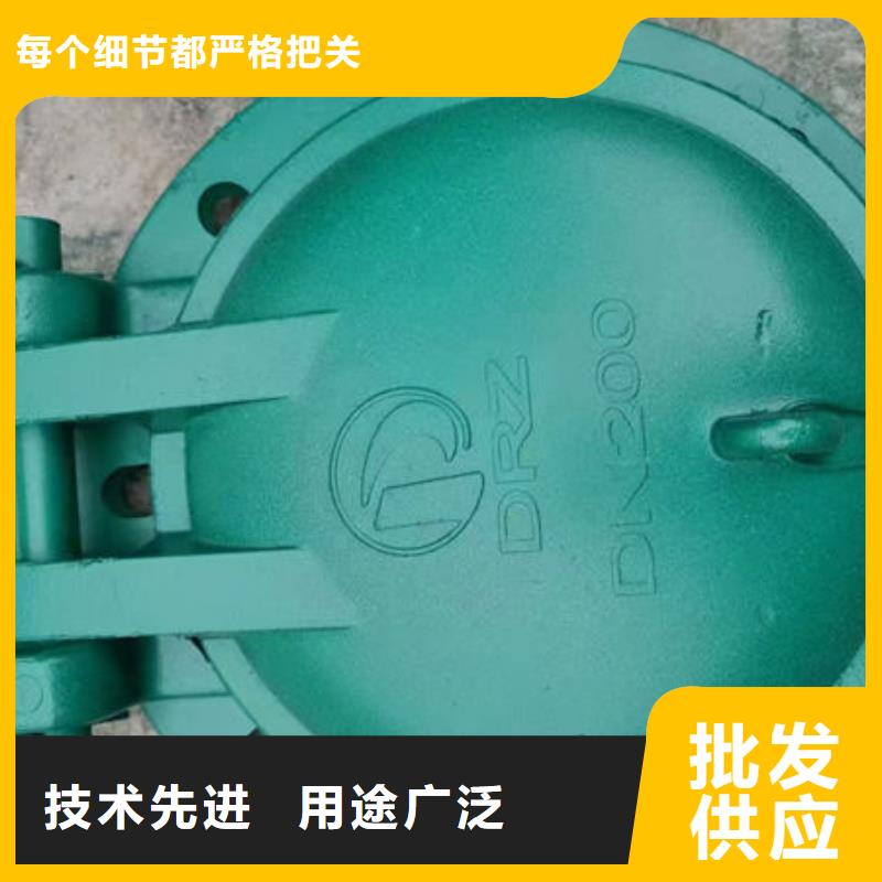 拍门_铸铁拍门保障产品质量