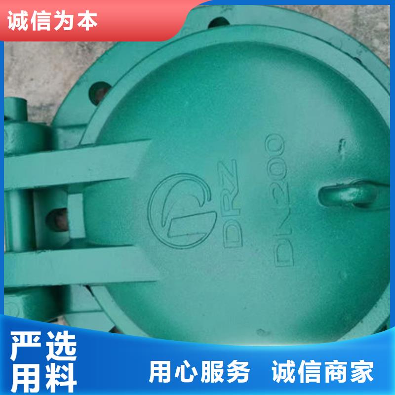 拍门,球墨铸铁拍门的简单介绍