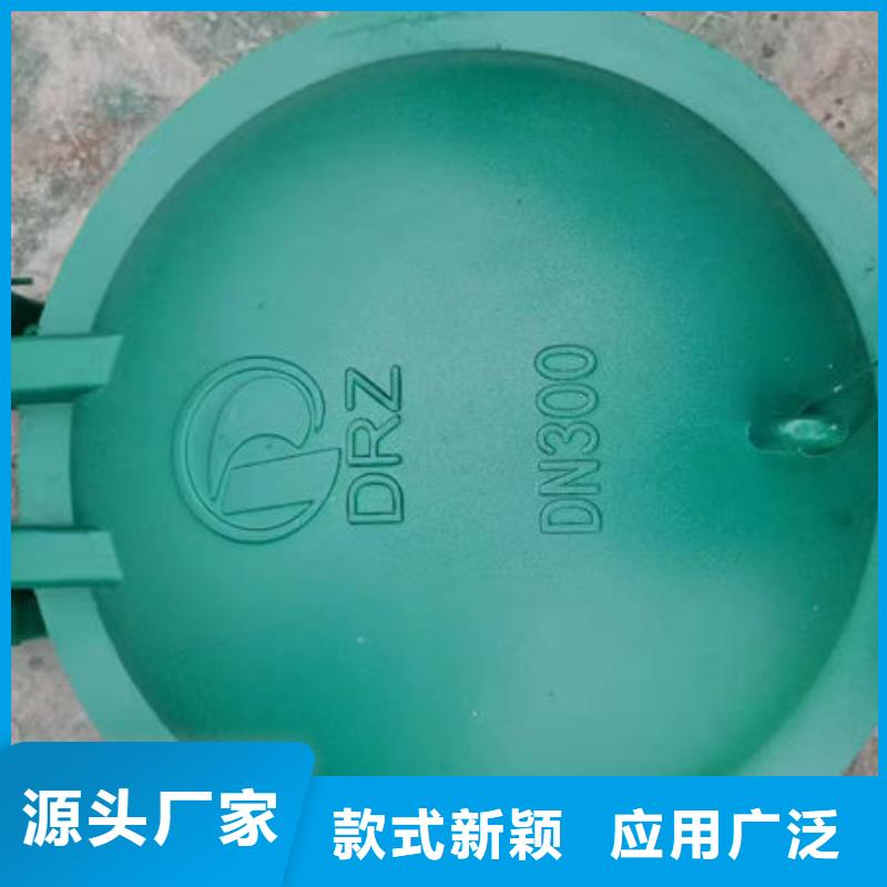 拍门球墨铸铁拍门实体诚信厂家