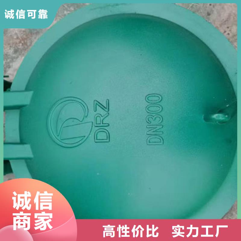 拍门防倒灌拍门价格公道合理