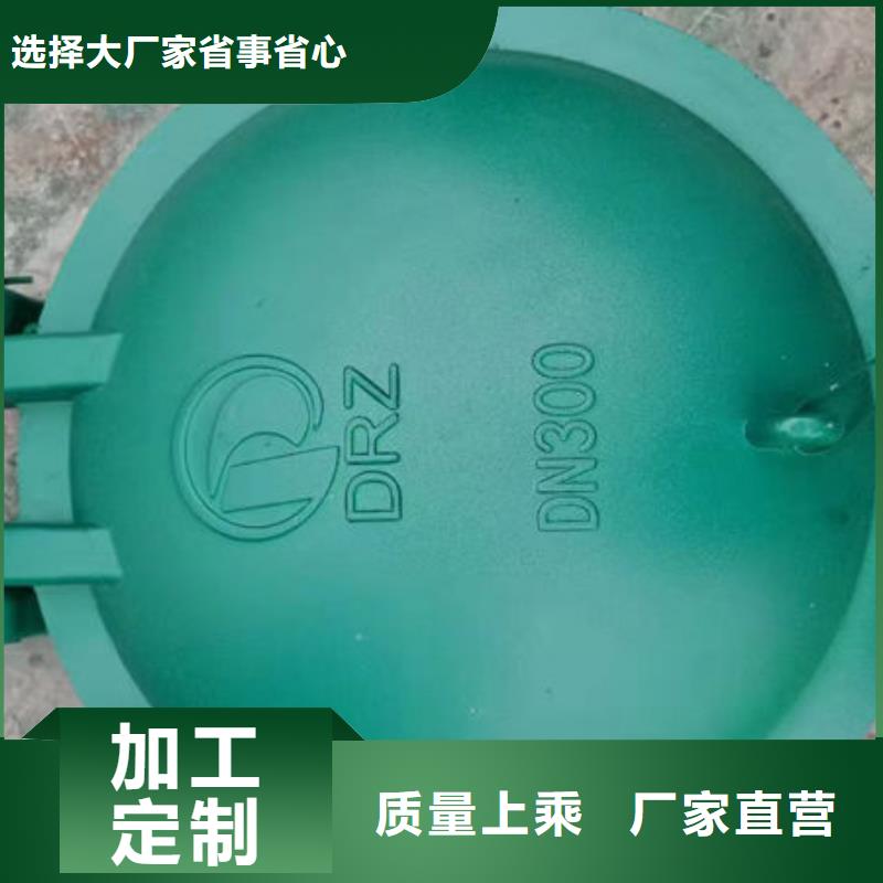 拍门不锈钢拍门多年厂家可靠