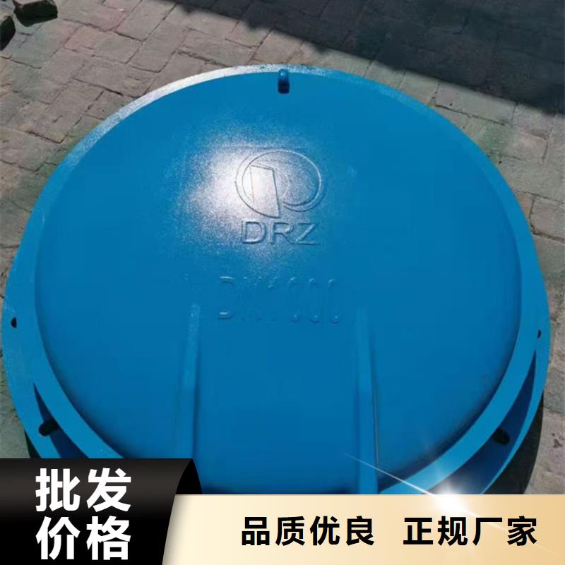 拍门_球墨铸铁拍门厂家直销
