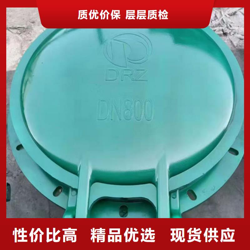 拍门球墨铸铁拍门保障产品质量