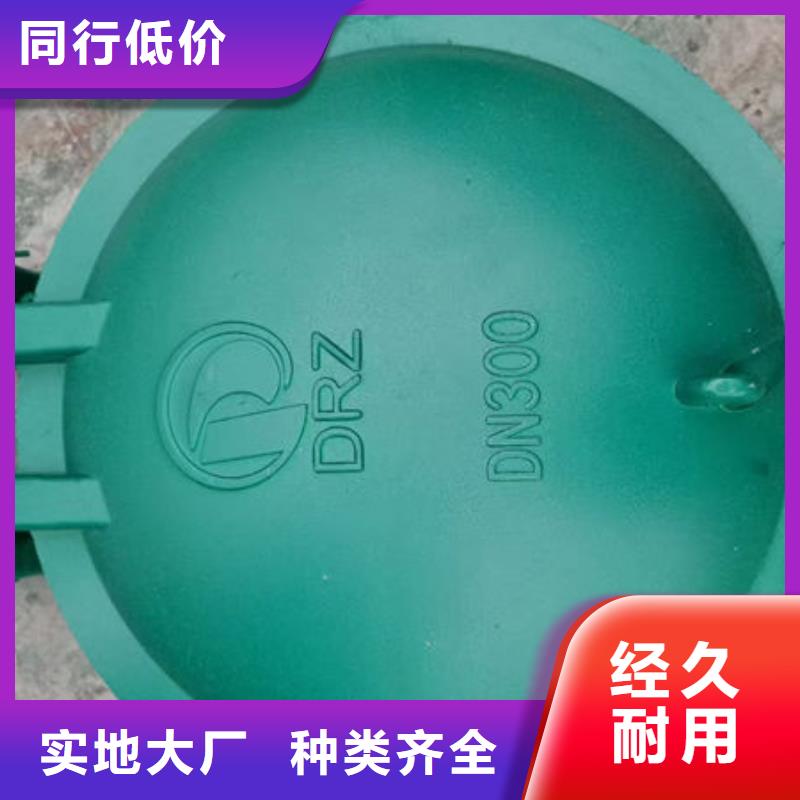 拍门球墨铸铁拍门订购