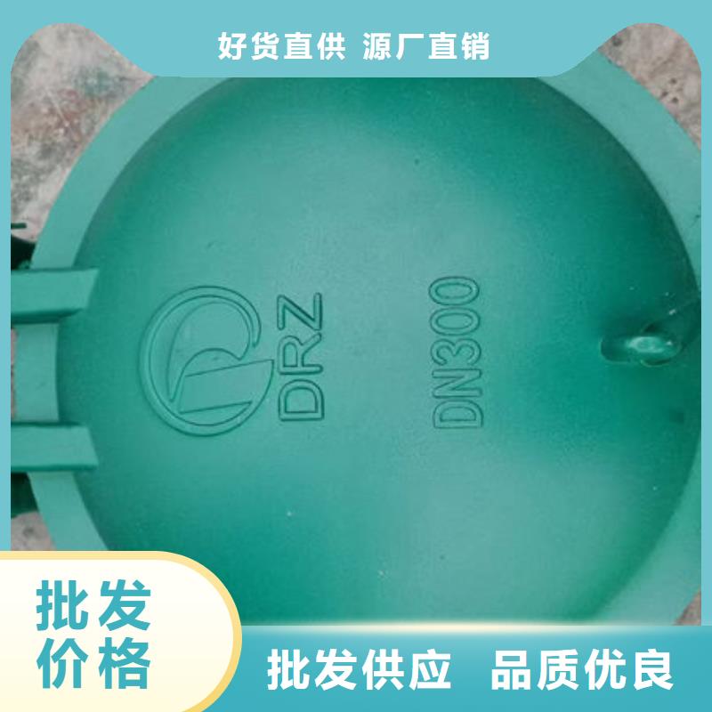 拍门,圆拍门源厂定制