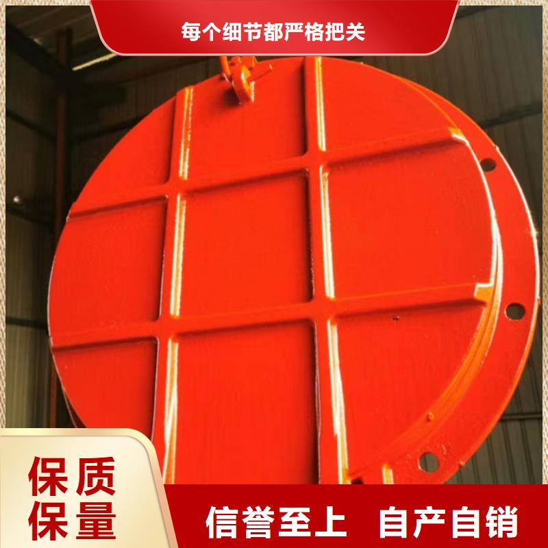 拍门-球墨铸铁拍门可定制