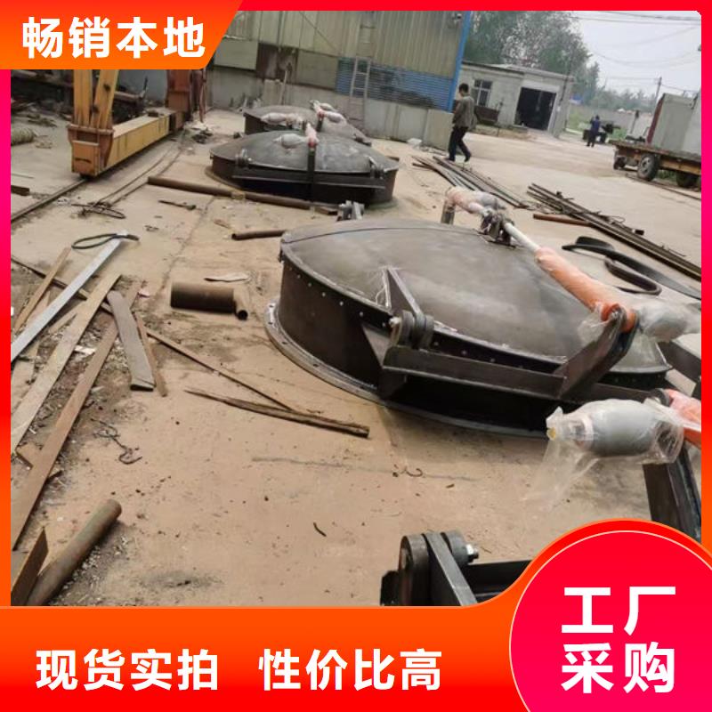 拍门钢拍门出厂价