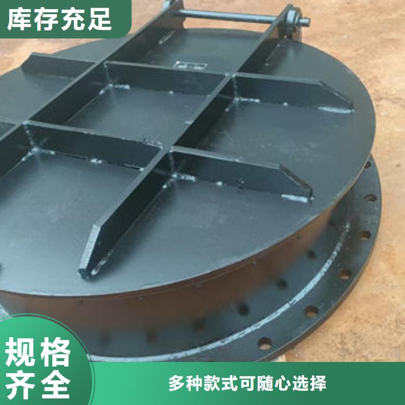 拍门不锈钢拍门质保一年