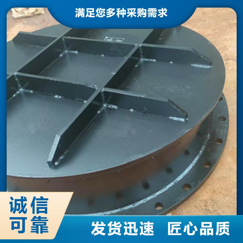 拍门防倒灌拍门价格公道合理