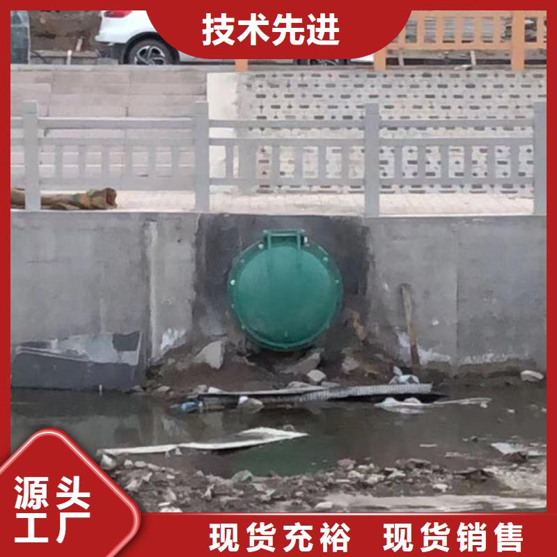 拍门球墨铸铁拍门品种全