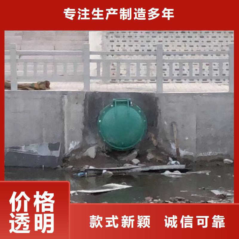拍门-铸铁拍门厂家实力雄厚