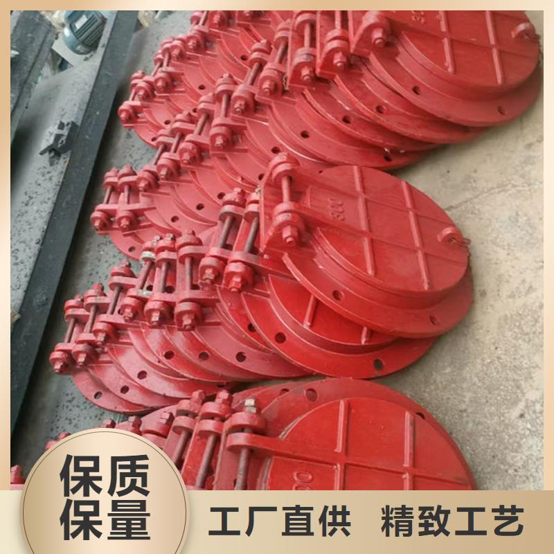 拍门方拍门厂家直销规格多样
