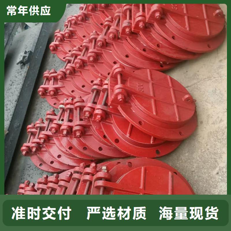 拍门铸铁拍门设计制造销售服务一体