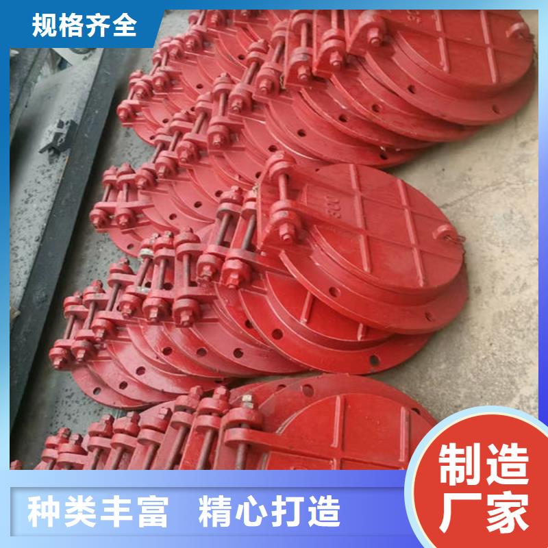 拍门防倒灌拍门好厂家有担当