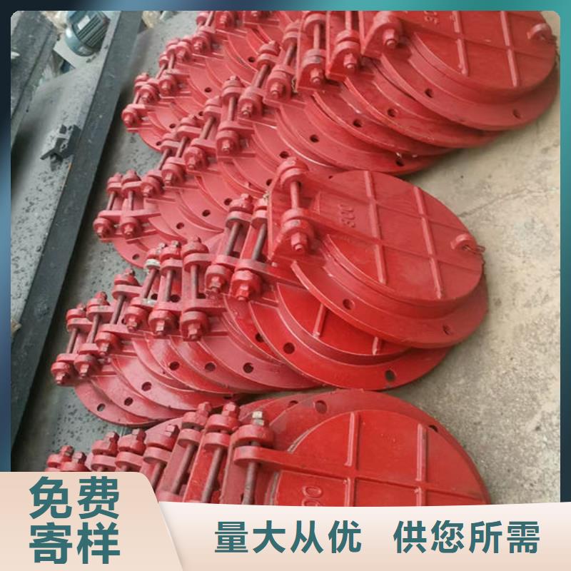 拍门_铸铁拍门品质不将就