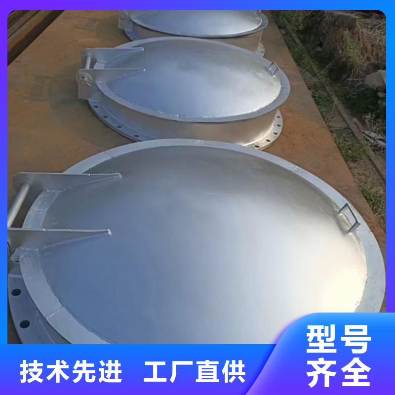 拍门球墨铸铁拍门保障产品质量