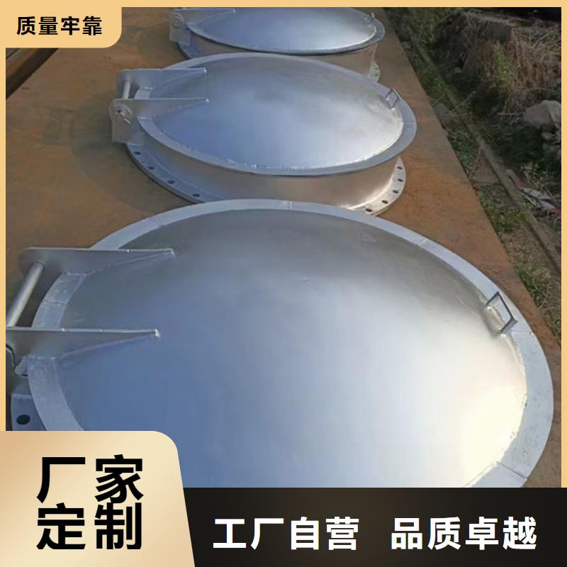 拍门球墨铸铁拍门支持定制加工