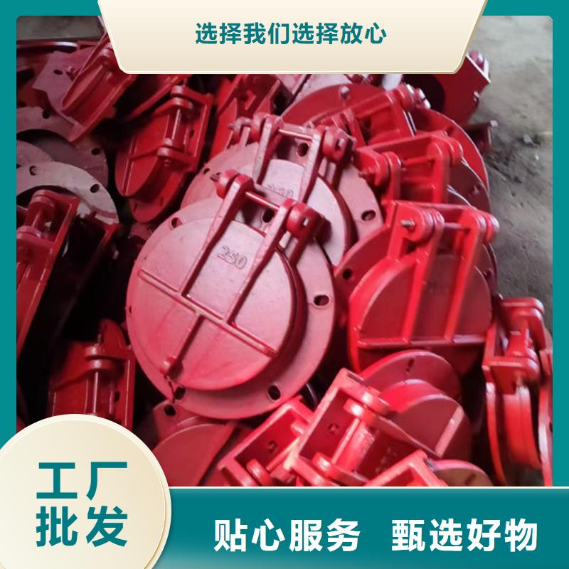 拍门防倒灌拍门好货直供