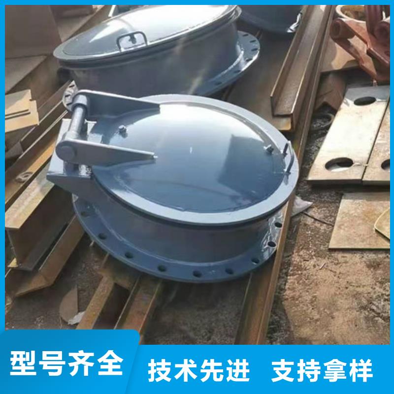 拍门_铸铁拍门技术先进