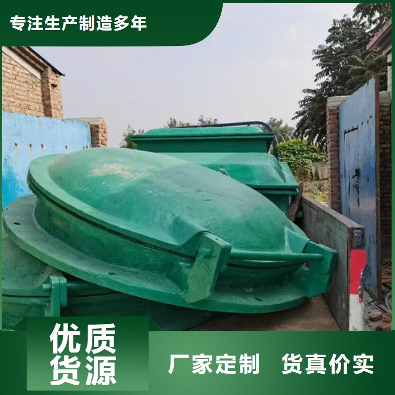拍门球墨铸铁拍门实体诚信厂家