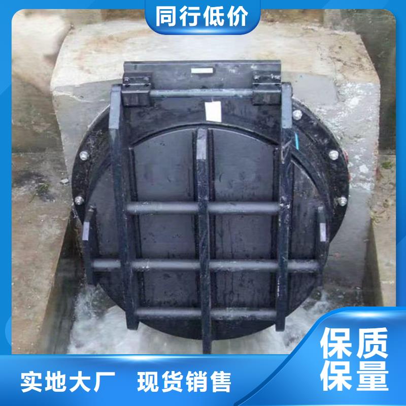 拍门,钢拍门高标准高品质
