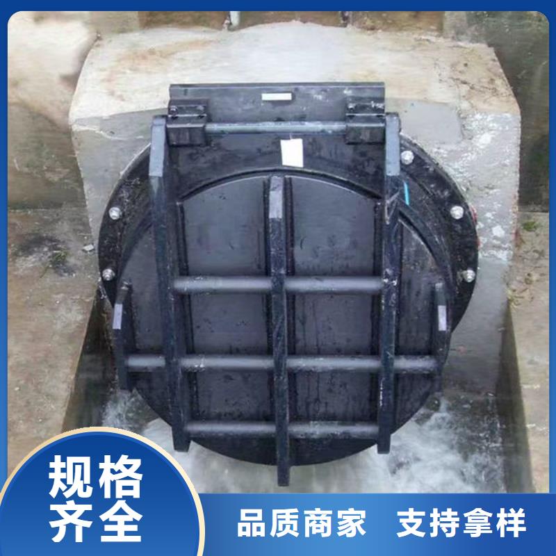 拍門球墨鑄鐵拍門海量貨源