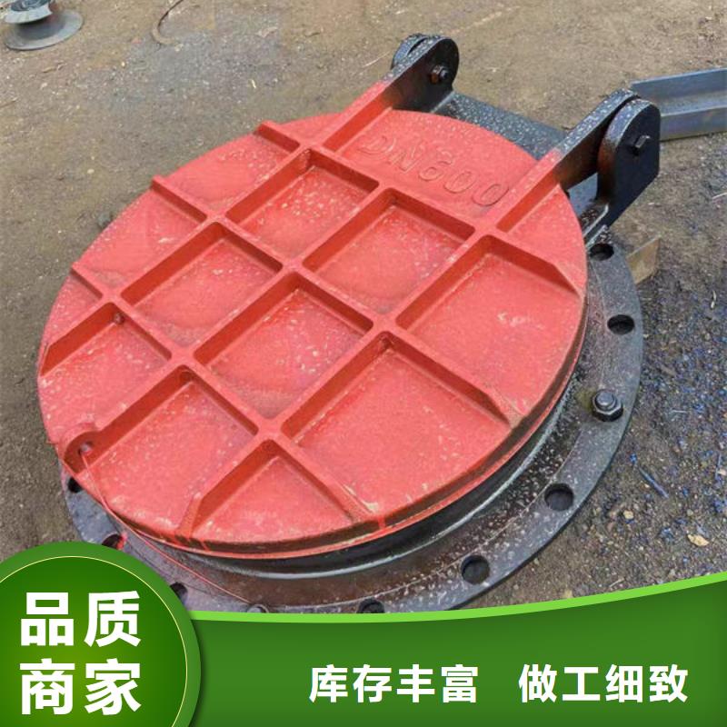 拍门-不锈钢拍门分类和特点