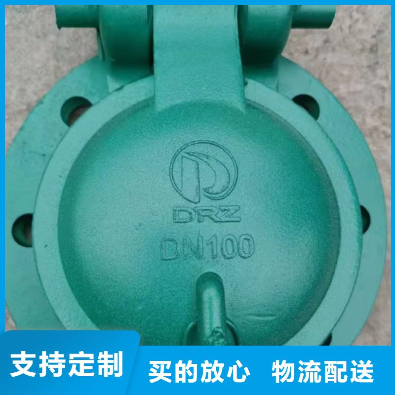 拍门_钢拍门专业设计