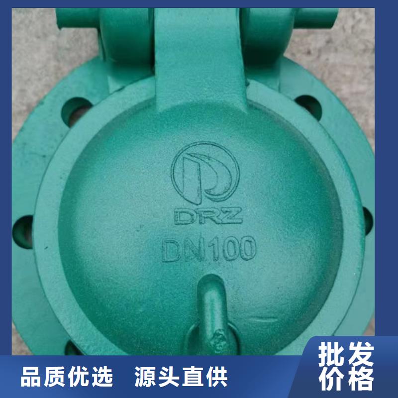 拍门防倒灌拍门真实拍摄品质可靠