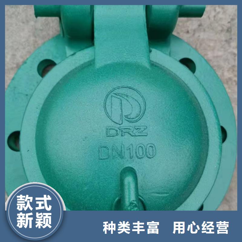 拍门球墨铸铁拍门厂家技术完善