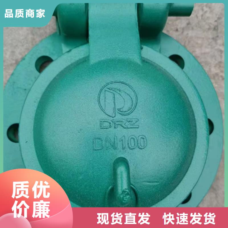 拍门钢制拍门专业生产团队
