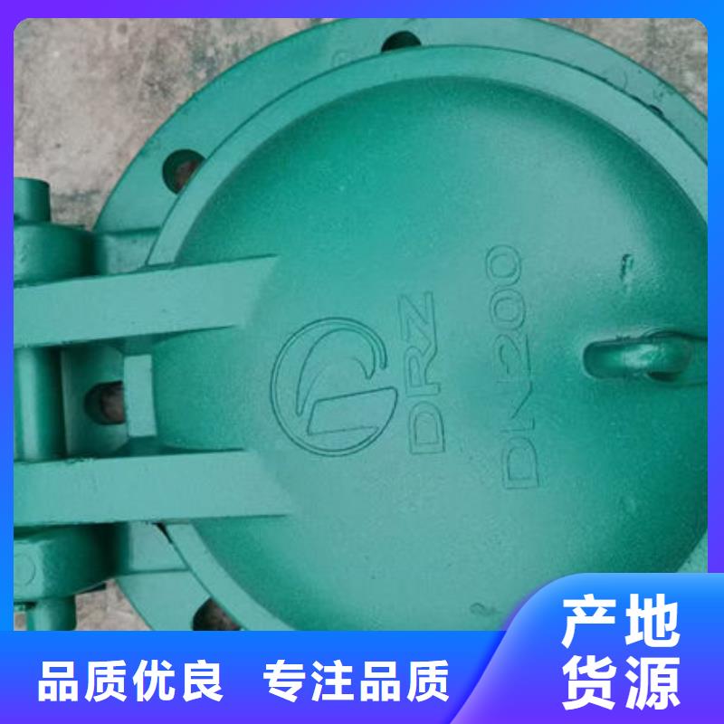 拍门-铸铁拍门实力才是硬道理