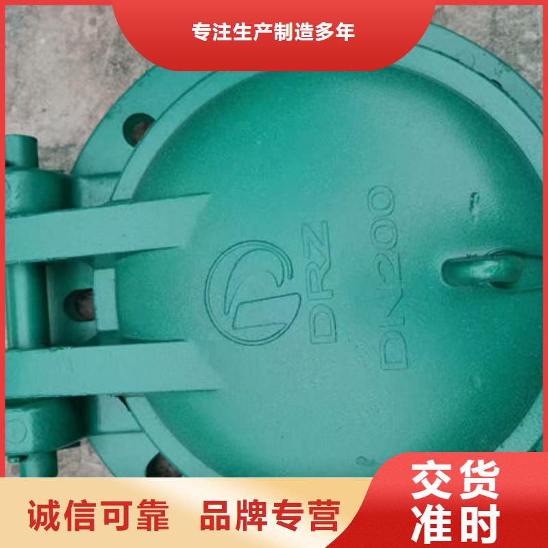 拍門-鋼制拍門廠家直營