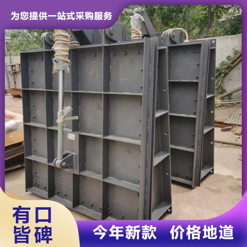 拍门钢制拍门工厂现货供应